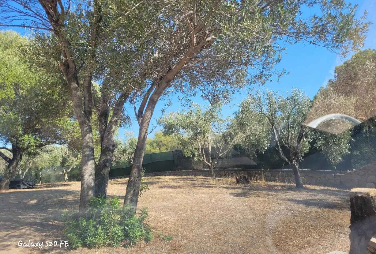 Residenza Degli Ulivi Apartment Olbia